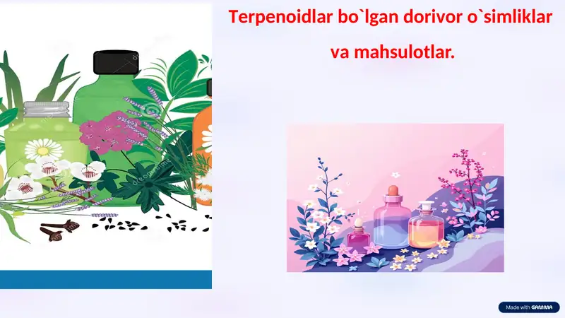 Terpenoidlar saqlovchi dorivor o'simliklar
