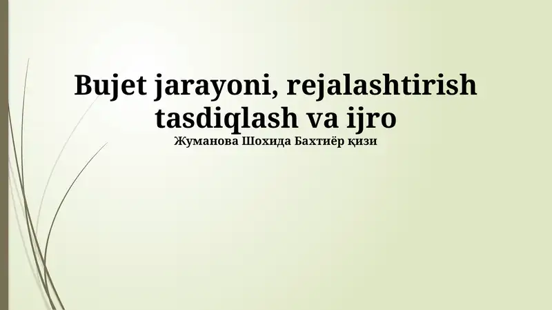 Byudjet jarayoni, rejalashtirish tasdiqlash va ijro