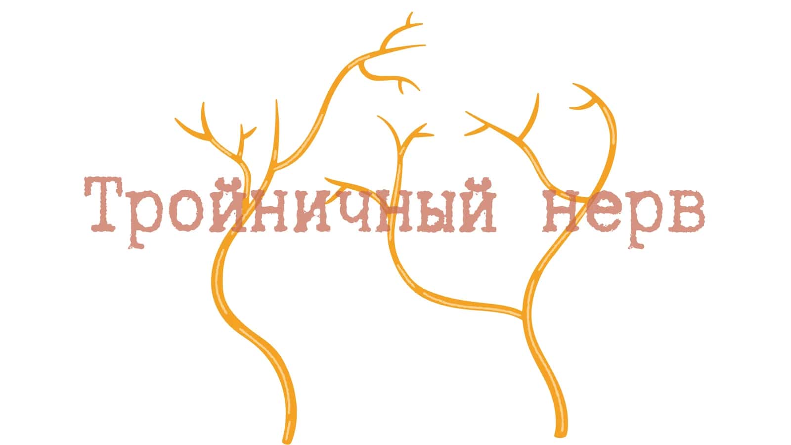 Тройничный нерв