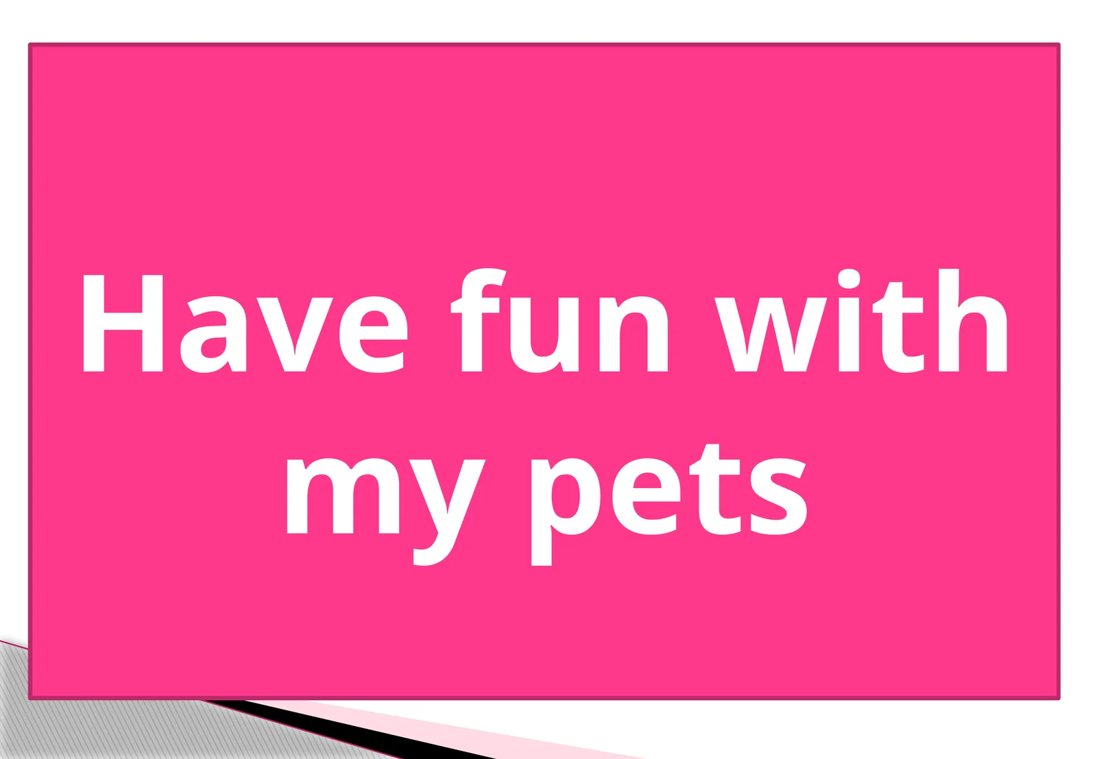 5-sinf Ingliz tili fanidan Have fun with my pets dars ishlanmasi
