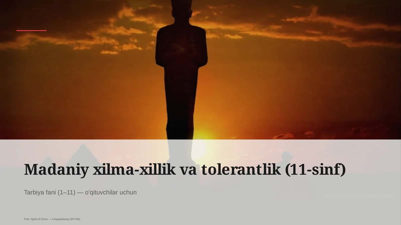 Madaniy xilma-xillik va tolerantlik (11-sinf)