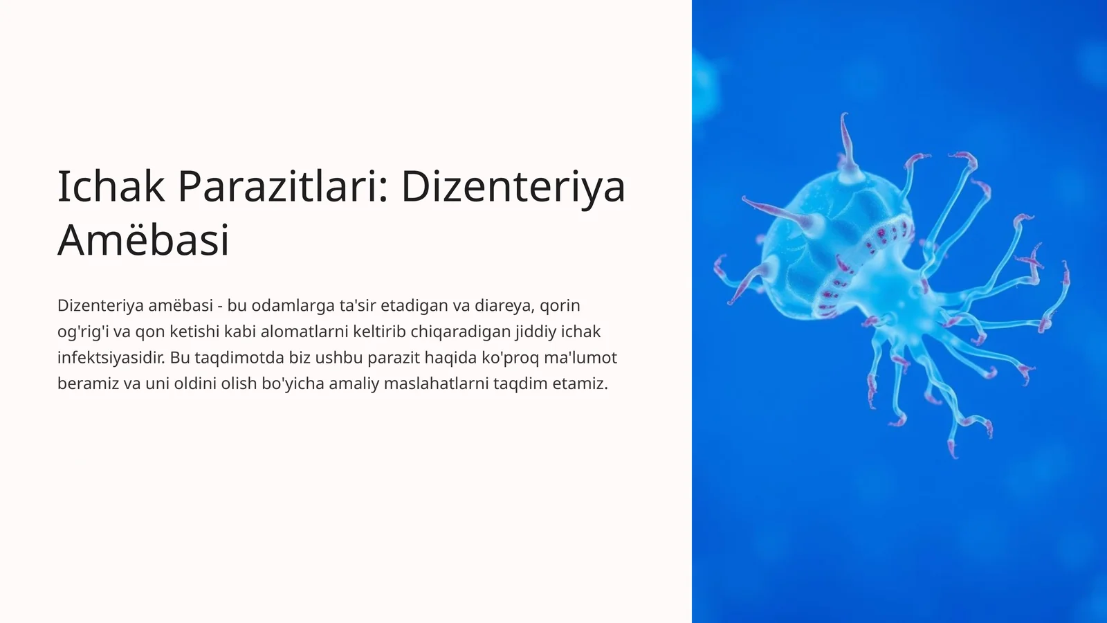Ichak Parazitlari: Dizenteriya Amëbasi
