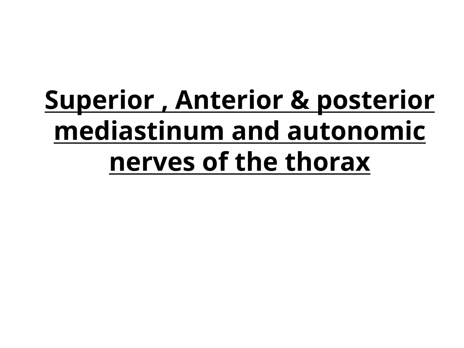 Superior, Anterior & posterior mediastinum and autonomic nerves of the thorax