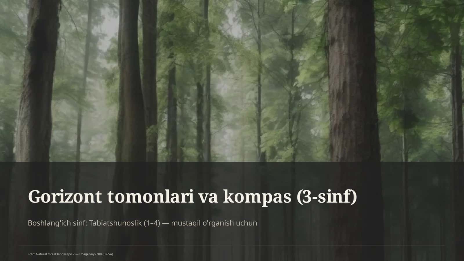 Gorizont tomonlari va kompas (3-sinf)