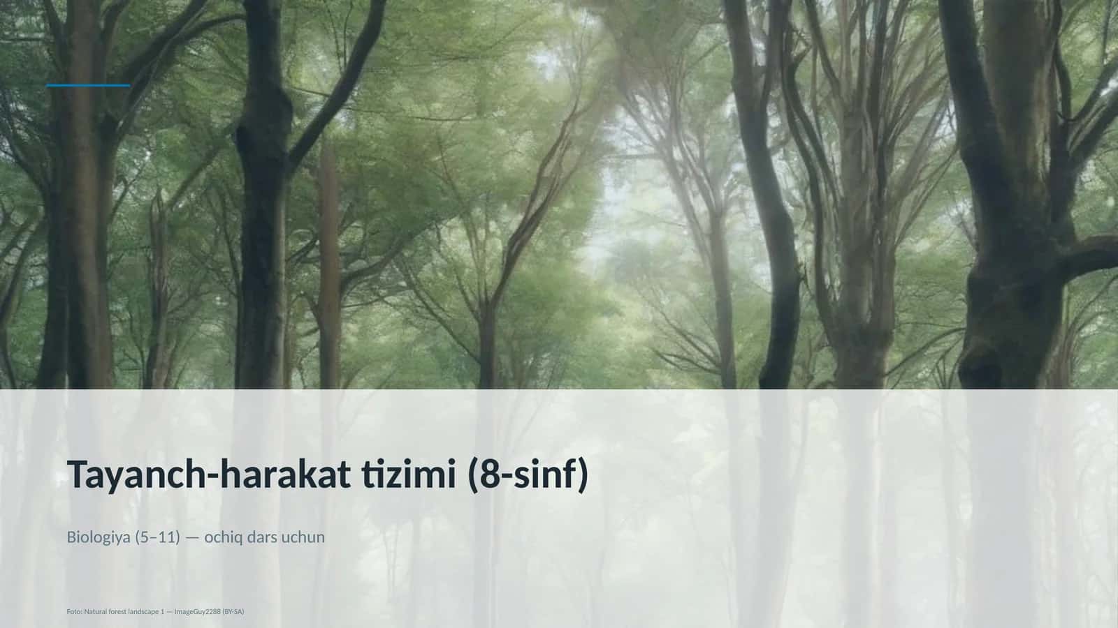 Tayanch-harakat tizimi (8-sinf)