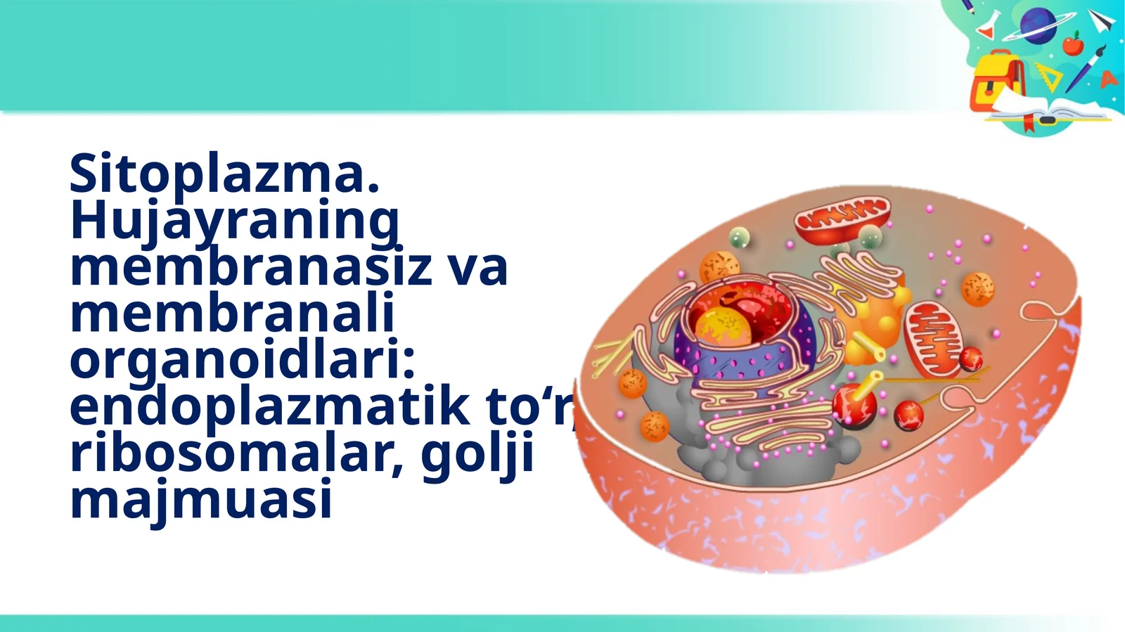Sitoplazma