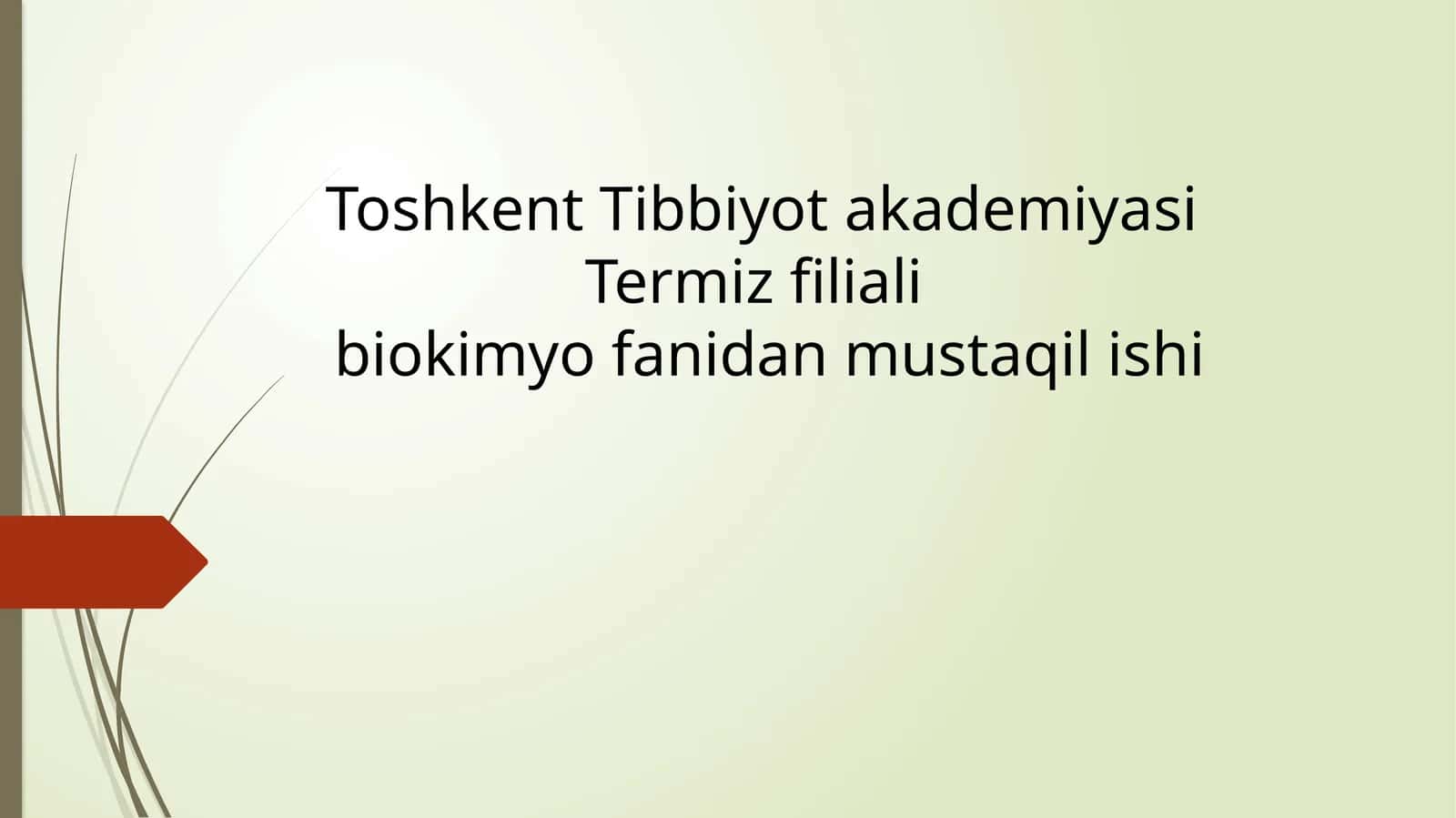 Toshkent Tibbiyot akademiyasi Termiz filiali