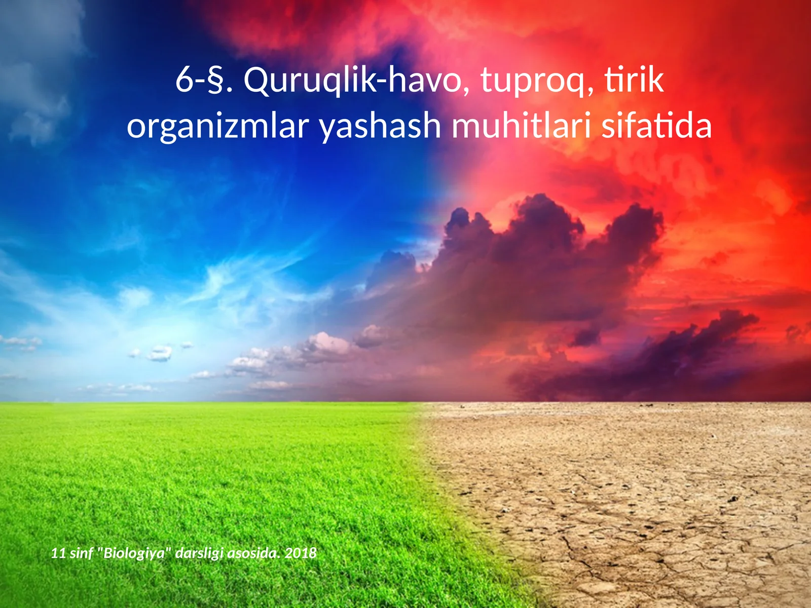 Quruqlik-havo muhiti