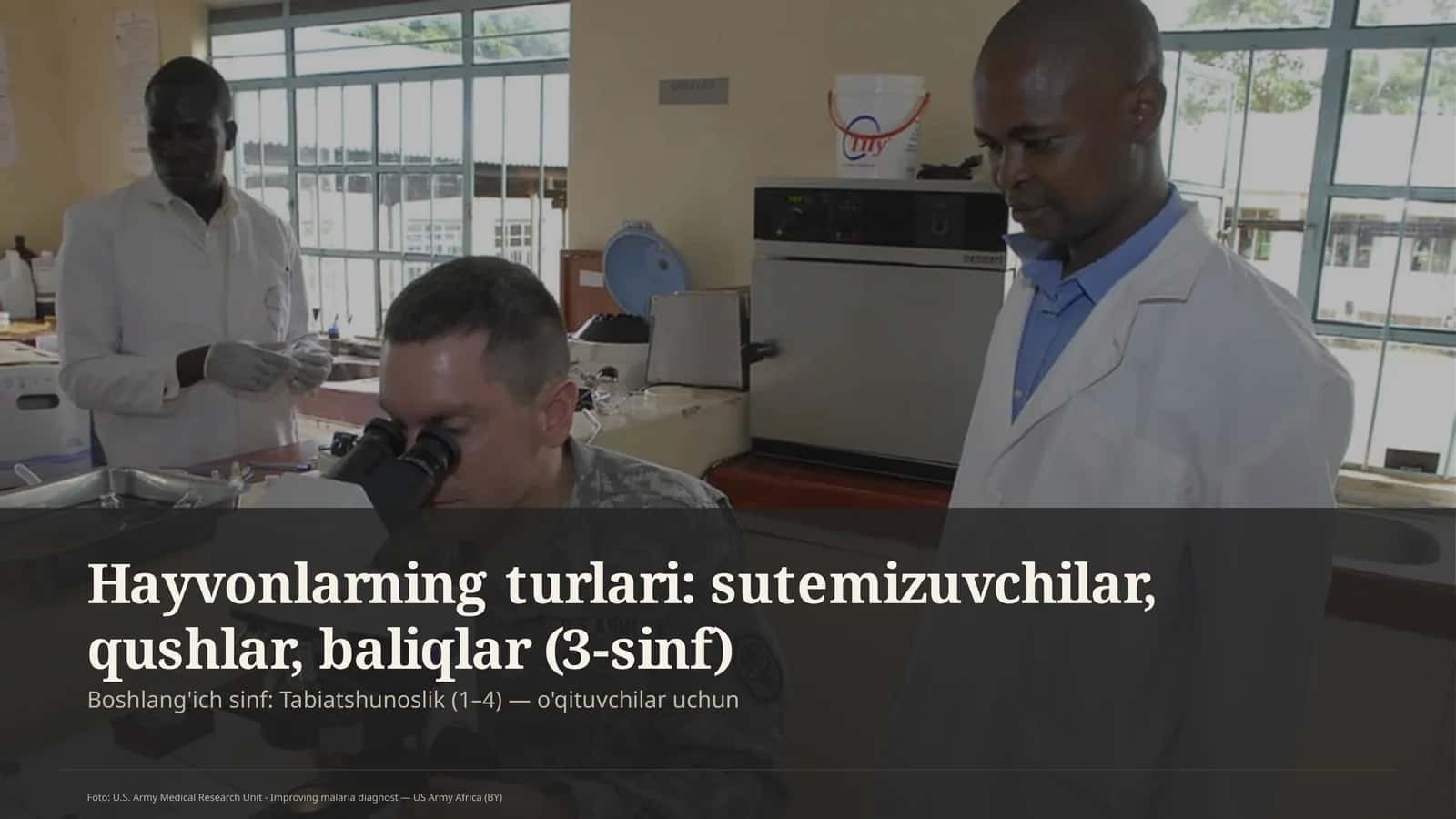 Tabiatshunoslik Dars Rejasi