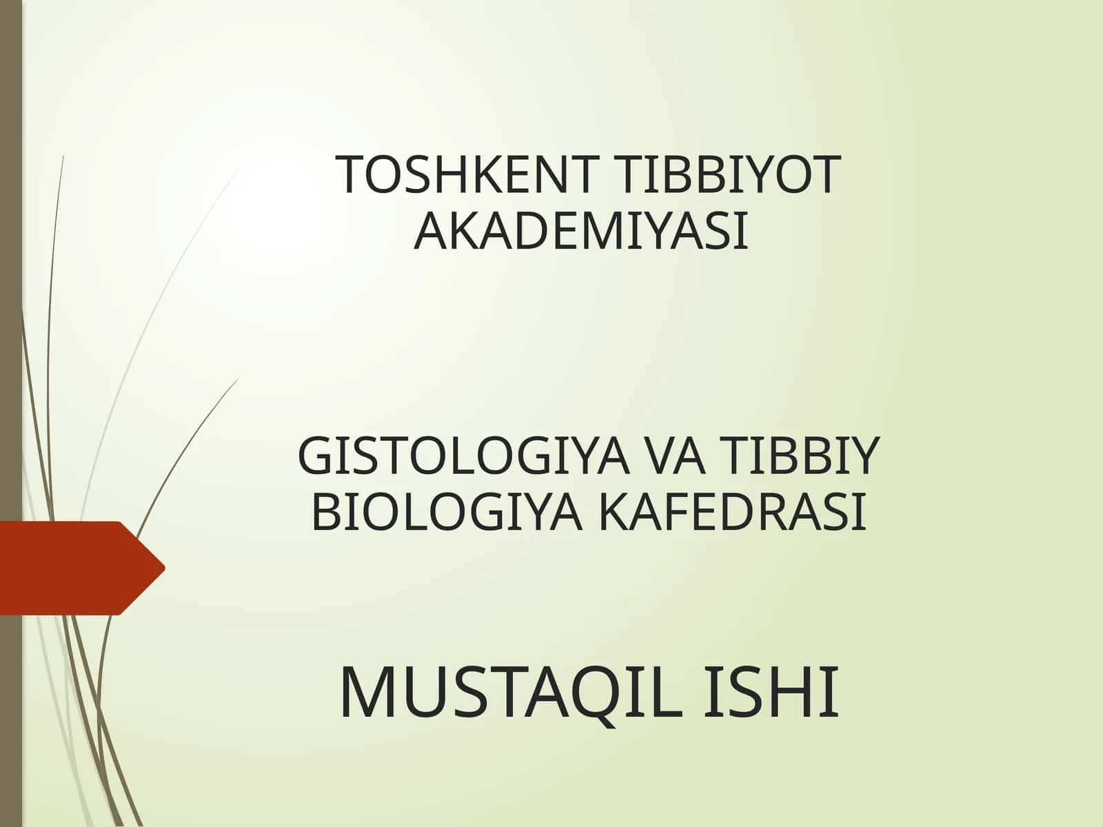 Yurak-qon tomir sistemasining tuzilishi