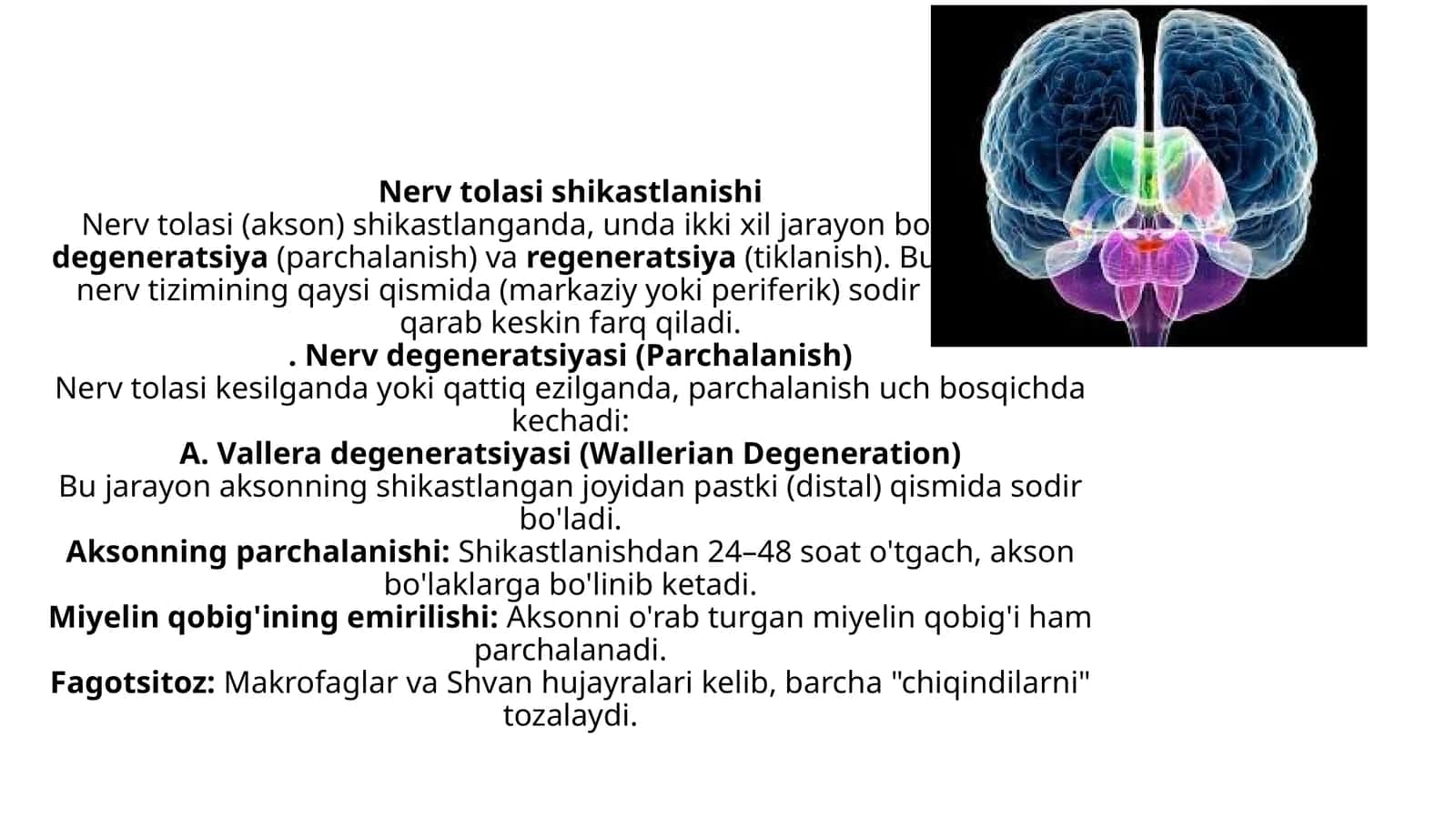 Nerv tolasining shikastlanishi