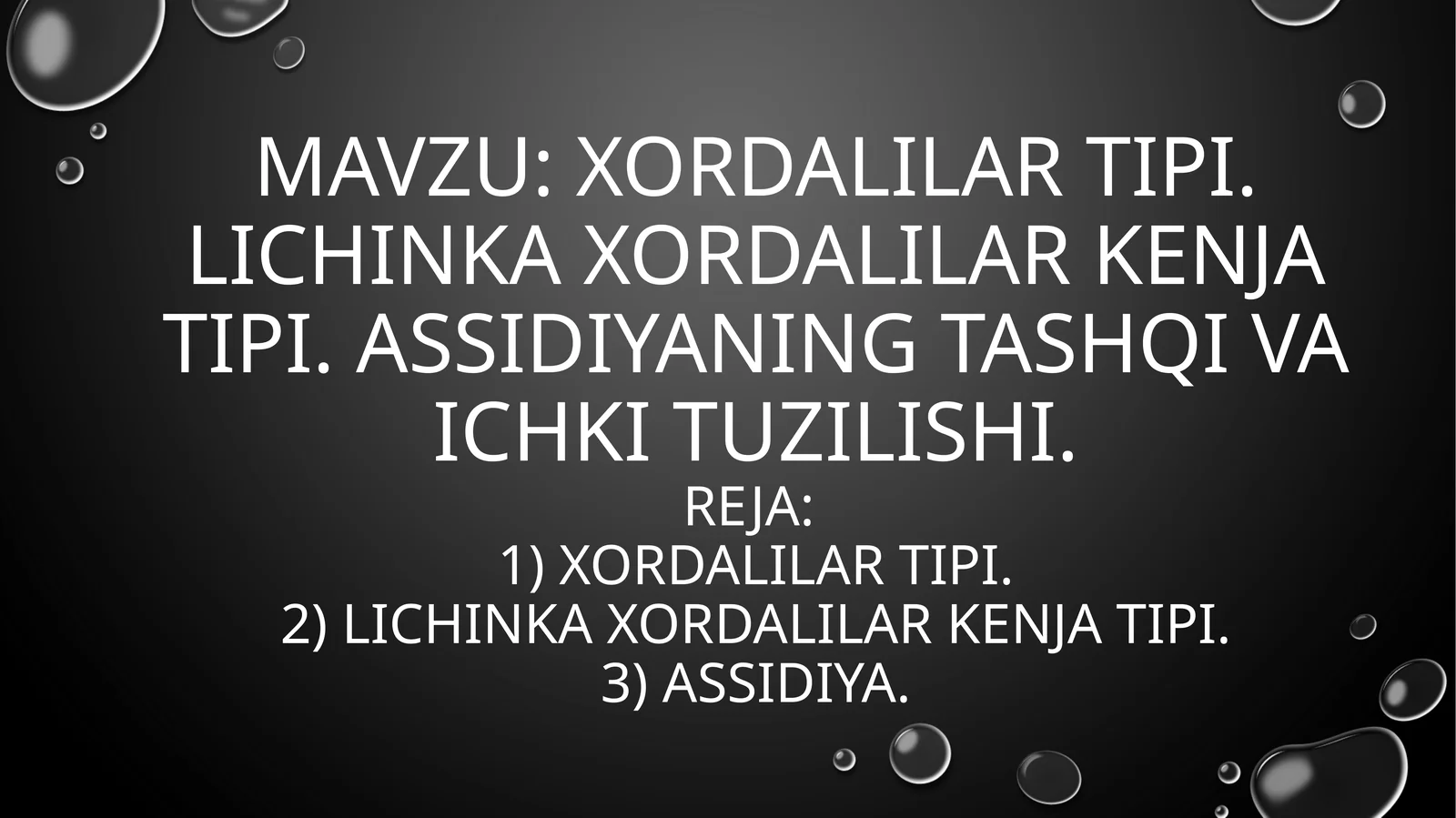 Xordalilar (Chordata)