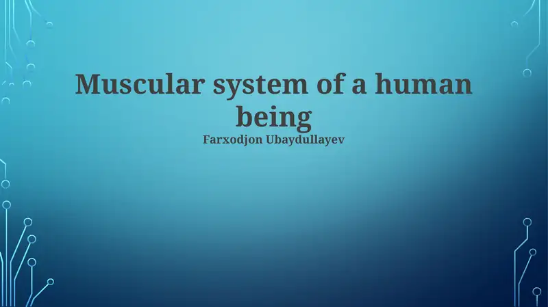 Muscular system of a human being
