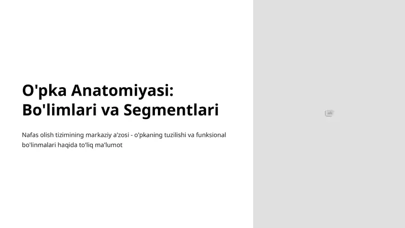 O'pka Anatomiyasi: Bo'limlari va Segmentlari