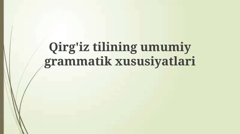 Qirg'iztilining umumi grammatik xususiyatlari