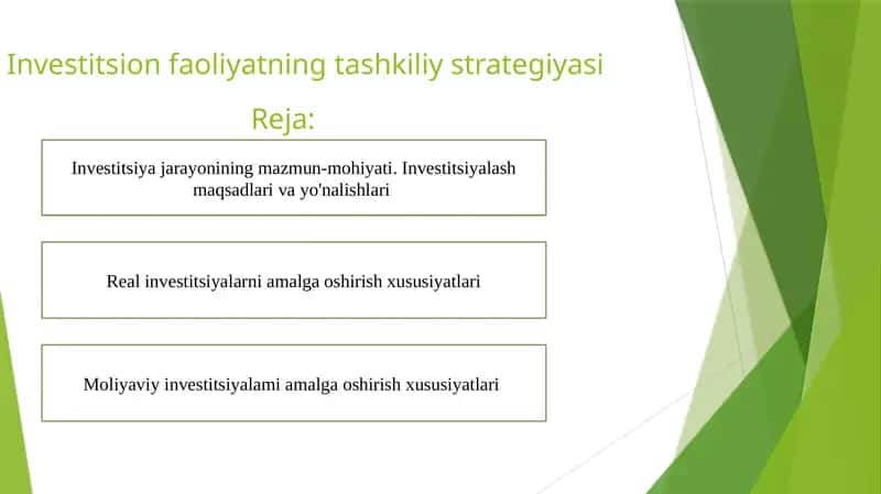 Investitsion faoliyatning tashkiliy strategiyasiReja