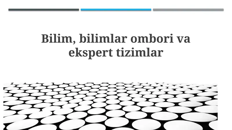 Ekspert Tizimlari