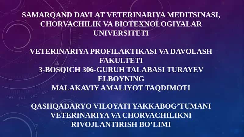 Turayev Elboyning malakaviy amaliyot taqdimoti