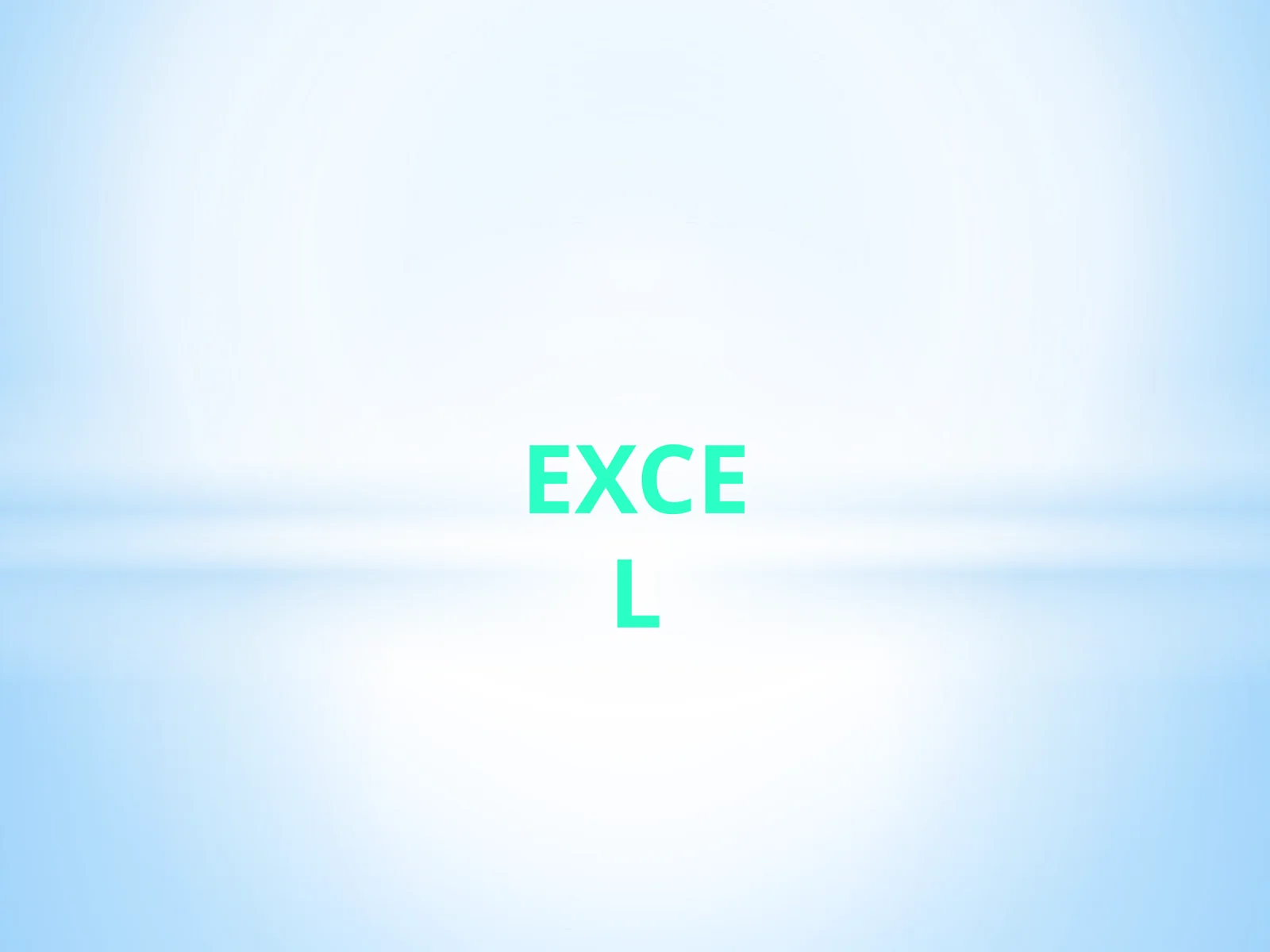 MS Excel