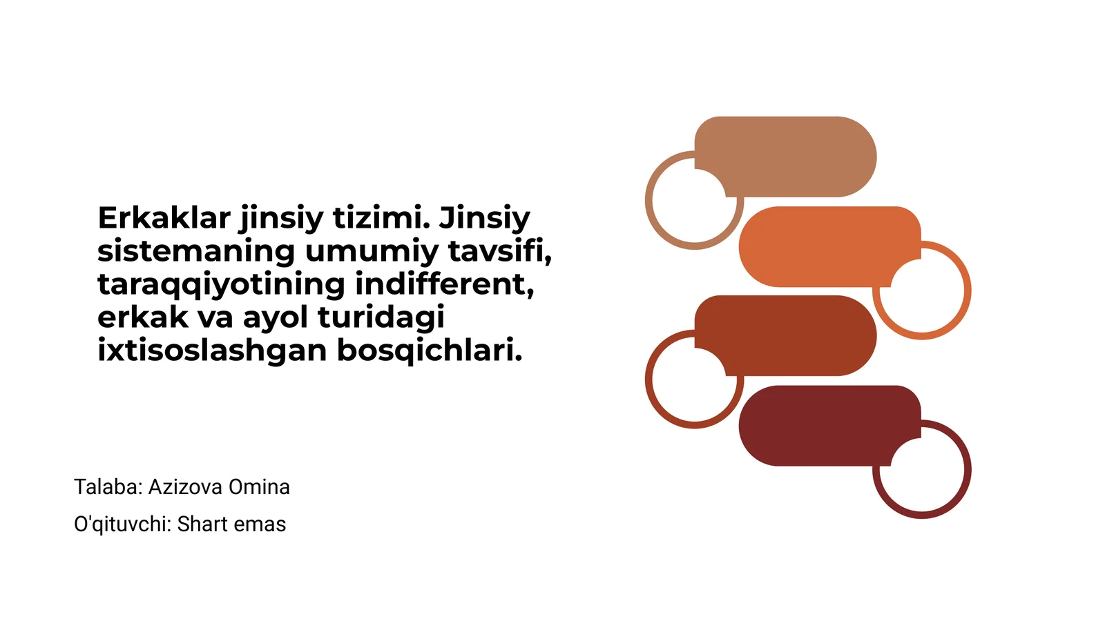 Erkaklar jinsiy tizimi