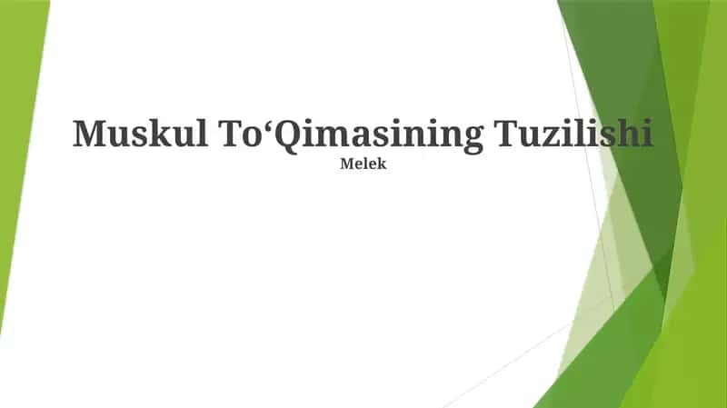 Muskul ToʻQimasining Tuzilishi