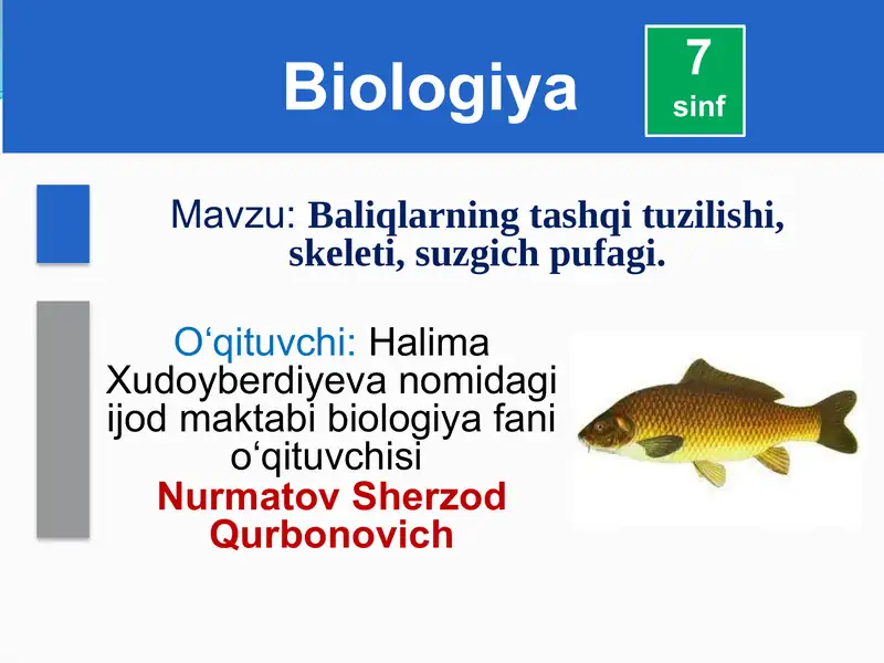 Baliqlarning tashqi tuzilishi, skeleti, suzgich pufagi