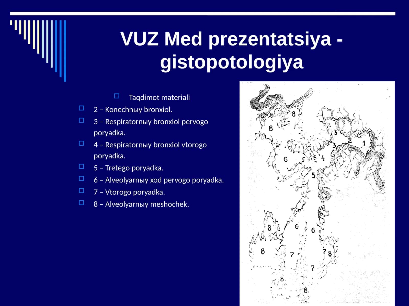 Gistopatologiya asoslari