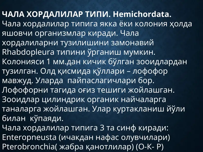 ЧАЛА ХОРДАЛИЛАР ТИПИ.Hemichordata