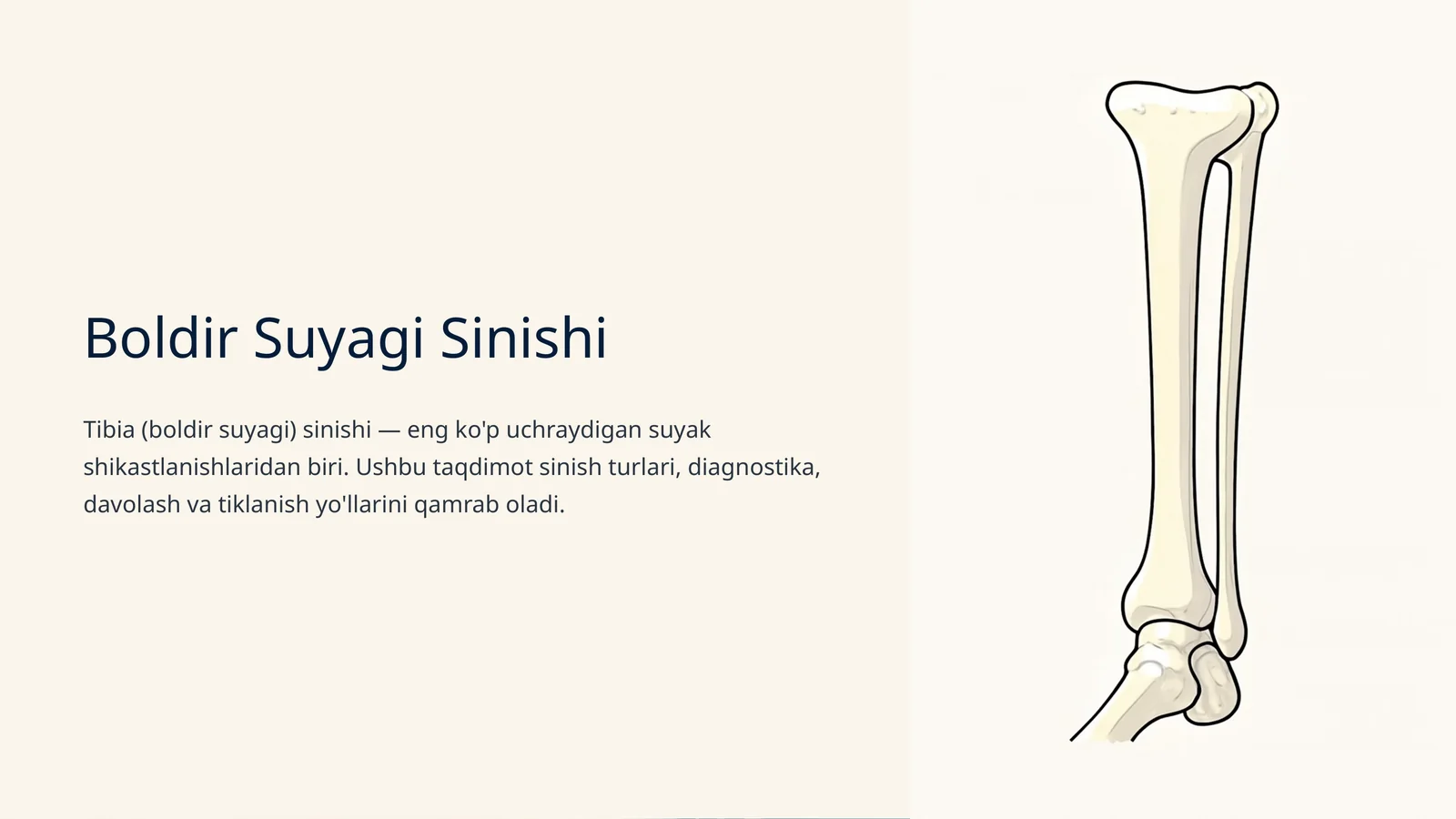 Boldir Suyagi Sinishi
