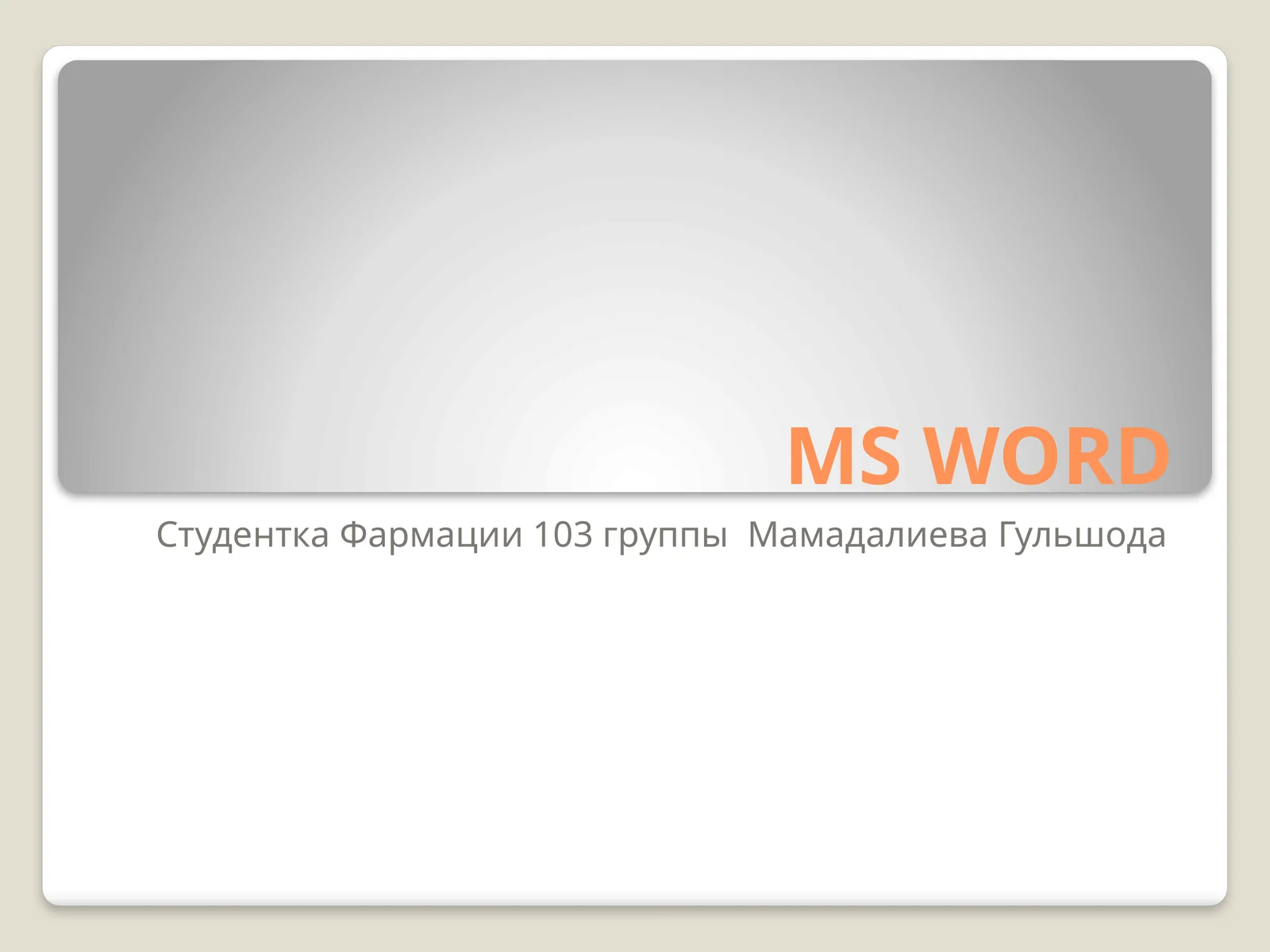 Microsoft Word
