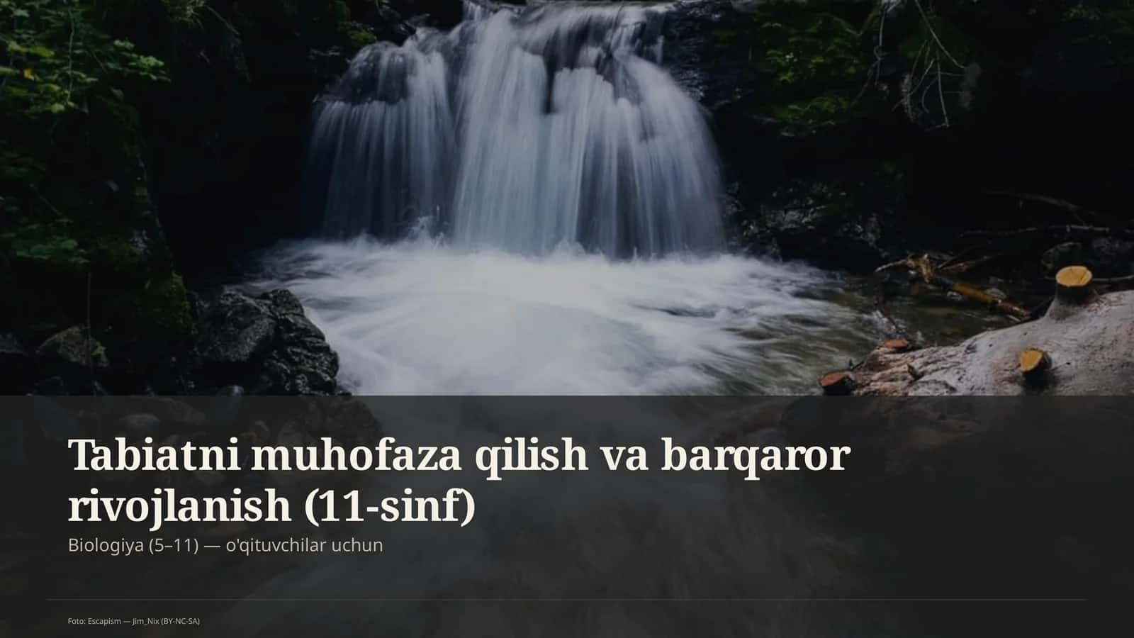 Tabiatni muhofaza qilish va barqaror rivojlanish (11-sinf)