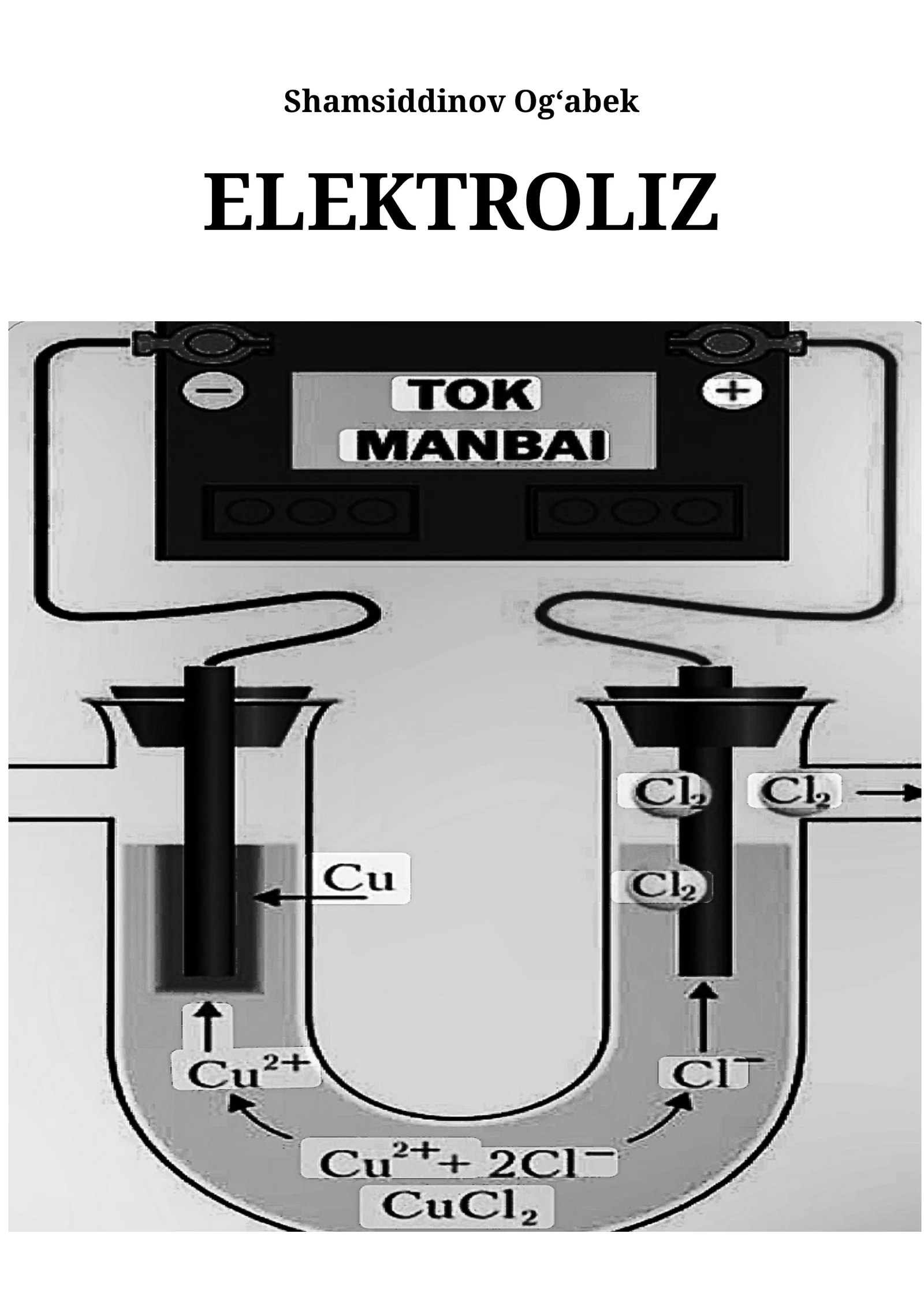 ELEKTROLIZ