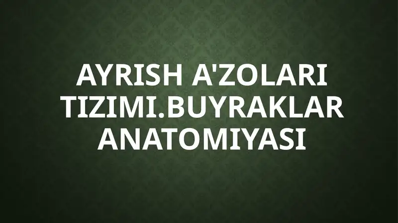 Ayrish a'zolari tizimi. Buyraklar anatomiyasi