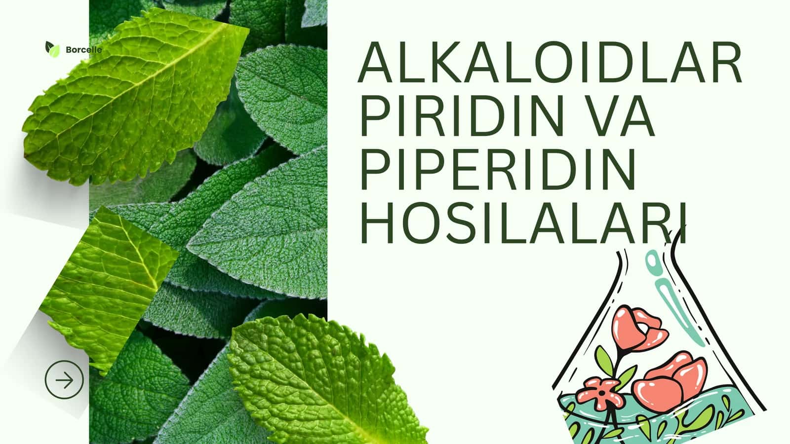 ALKALOIDLARPIRIDIN VA PIPERIDIN HOSILALARI