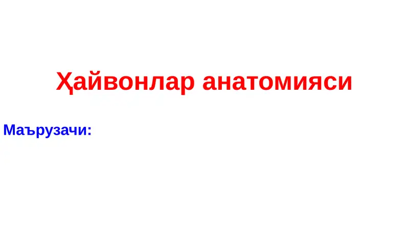 Ҳайвонлар анатомияси