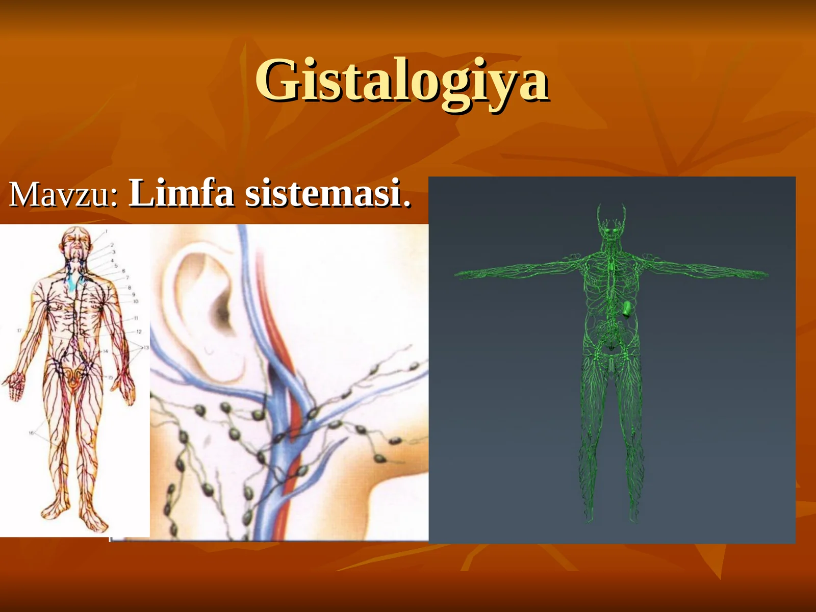Limfa sistemasi