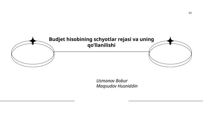 Budjet hisobining schyotlar rejasi va uning qo’llanilishi
