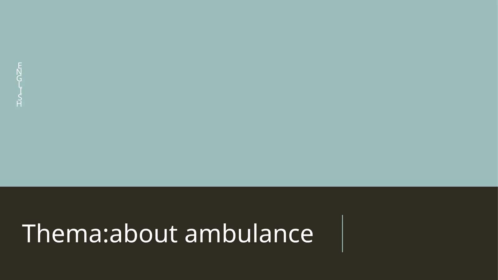 The Role of Ambulances