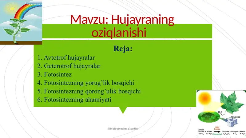 "HUJAYRA VA UNING TARKIBIY QISMLARI"