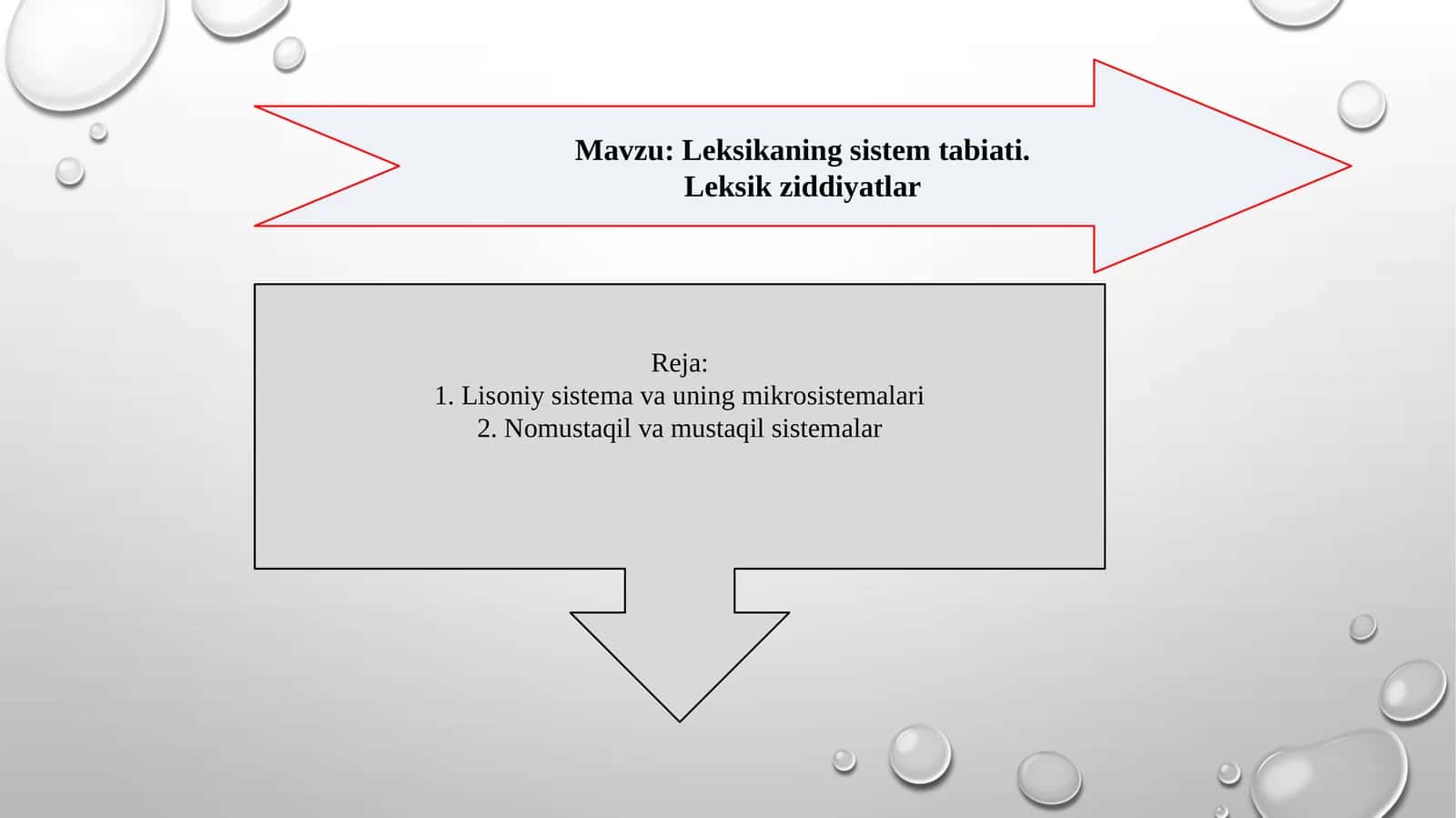 Leksikaning sistem tabiati. Leksik ziddiyatlar