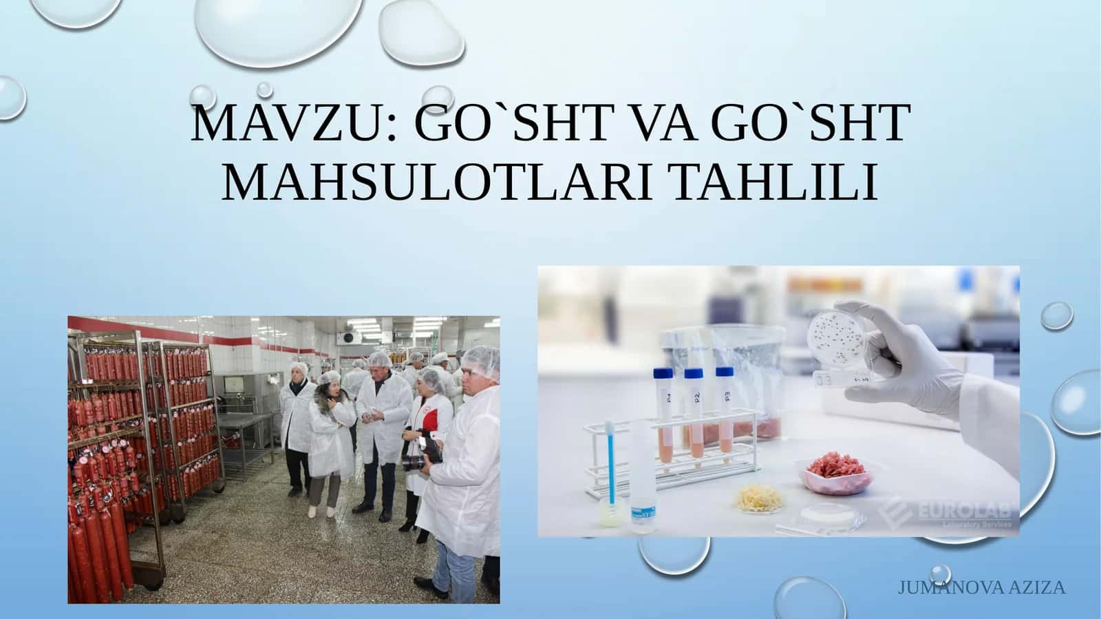 Go'shtning rangi va go'sht mahsulotlari