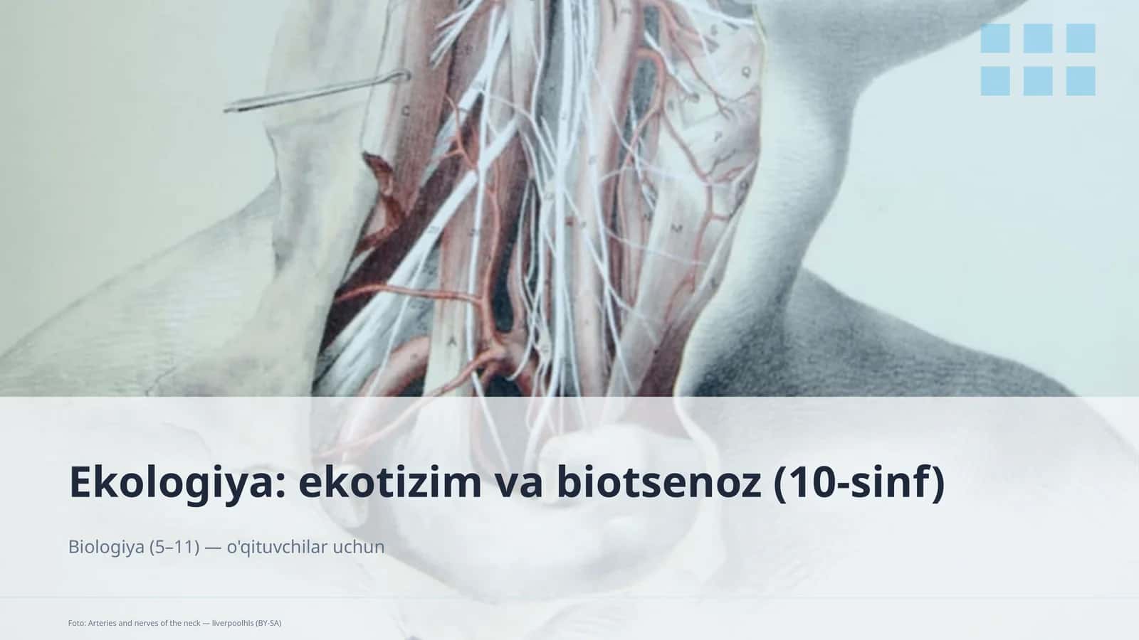 Ekologiya: ekotizim va biotsenoz (10-sinf)
