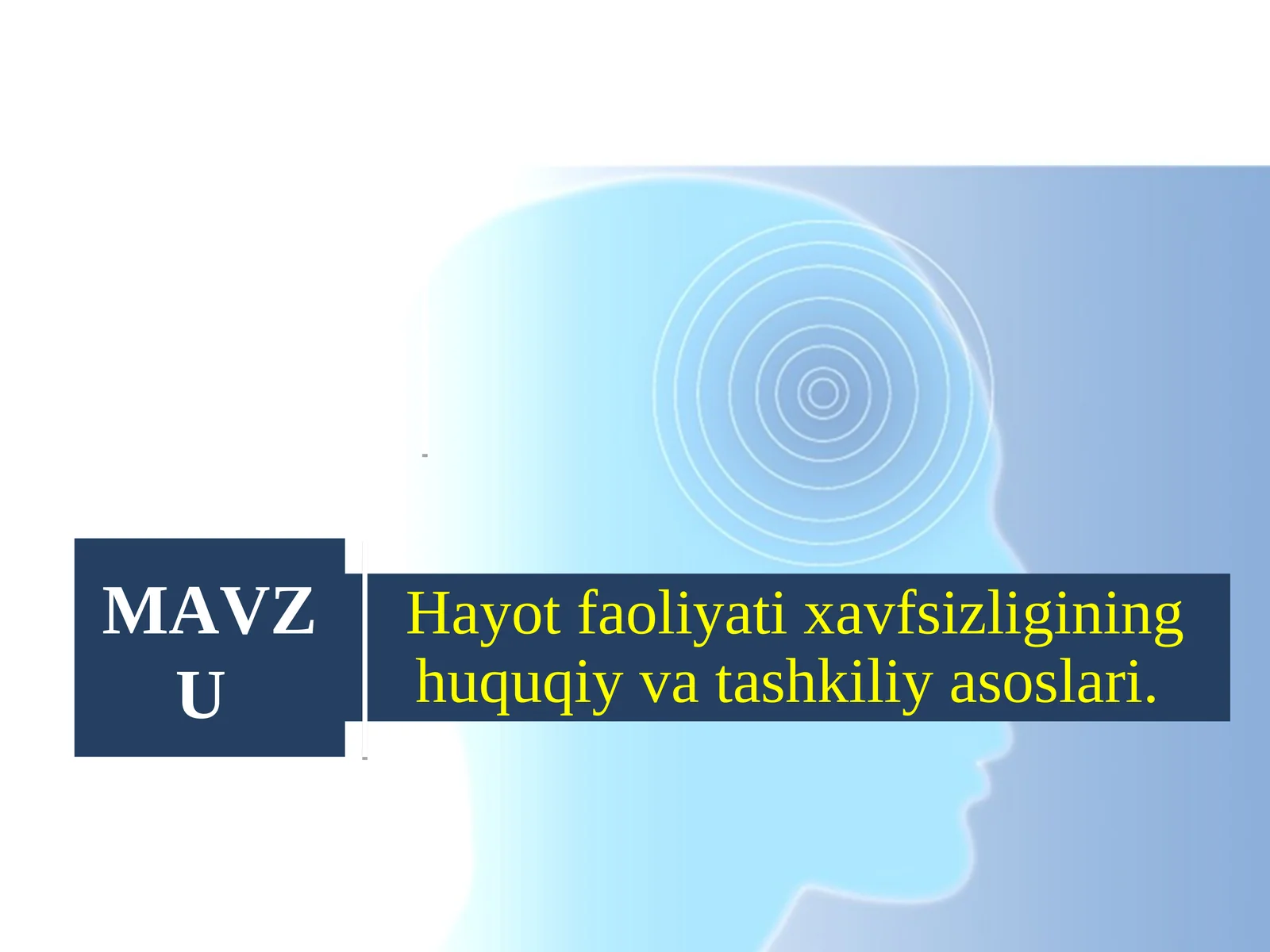 Hayot faoliyati xavfsizligining huquqiy va tashkiliy asoslari