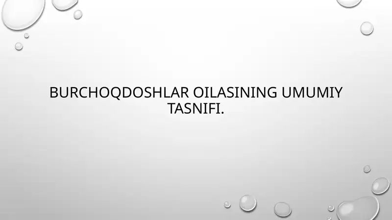 Burchoqdoshlar oilasining umumiy tasnifi