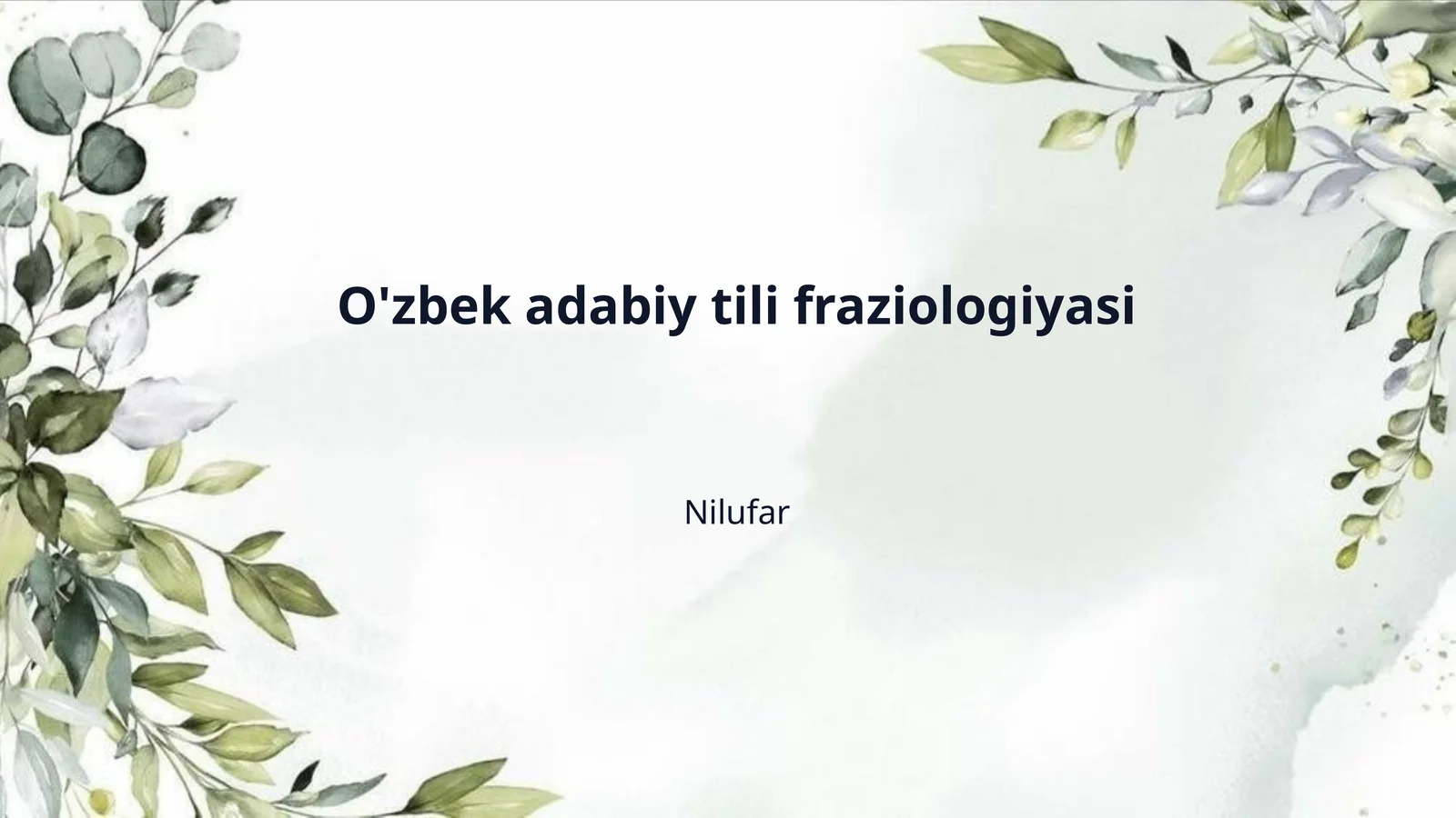 O'zbek adabiy tili fraziologiyasi