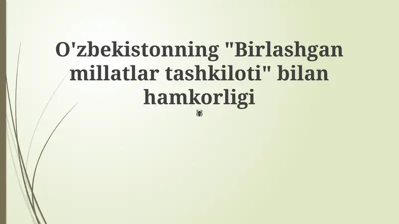 O'zbekiston va BMT: Hamkorlik Tarixi va Asosiy Yo'nalishlar