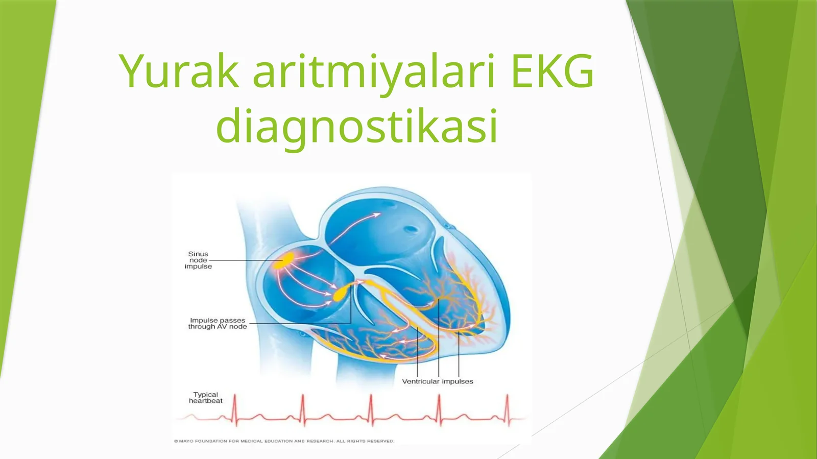 Yurak aritmiyalari EKG diagnostikasi