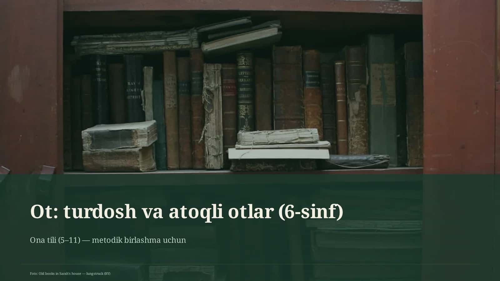 Ot: turdosh va atoqli otlar (6-sinf)