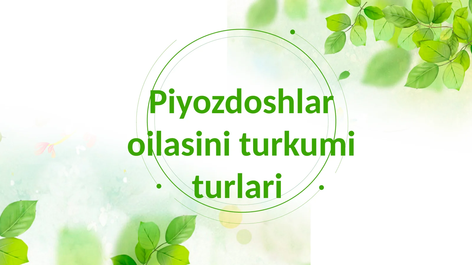 Piyozdoshlar oilasi turkum turlari