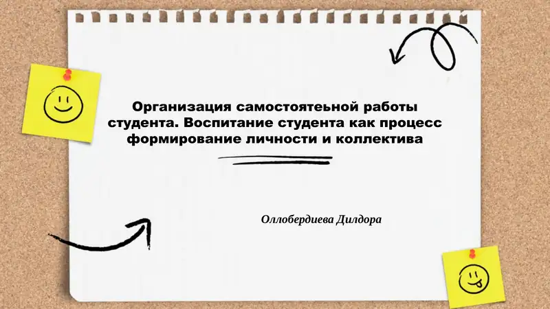 Организация самостоятельной работы студента